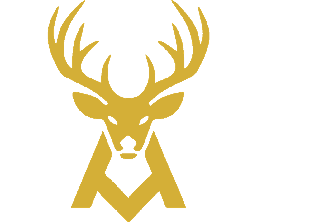 HAVN Emblem